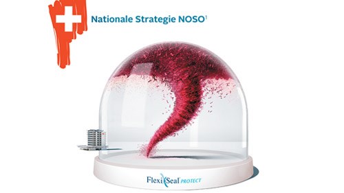 NOSO_Strategie_2019_teaster.jpg